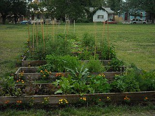 SPCommGarden