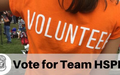 Keep South Park strong. Volunteer for a leadership position!