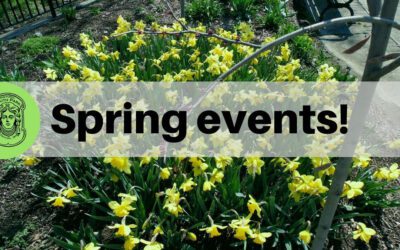 2022 Spring Events in South Park